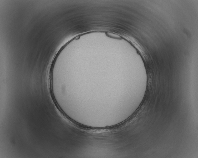 X0000116341143200912291607