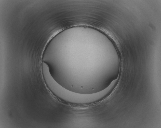 X0000116341145200912291607