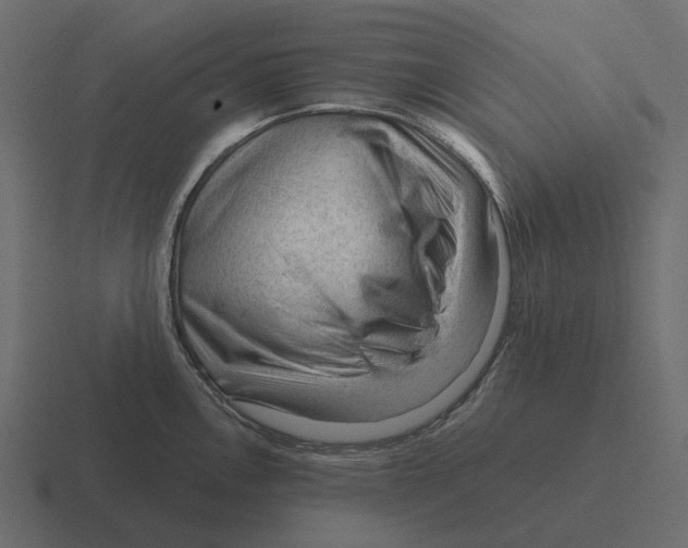 X0000116341146200912291607