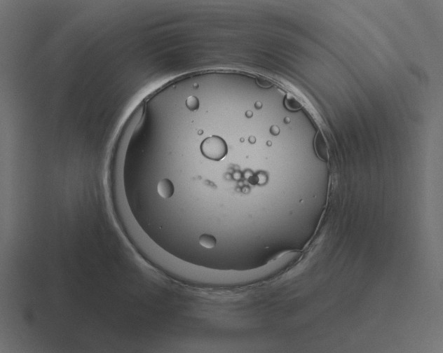 X0000116341149200912291607