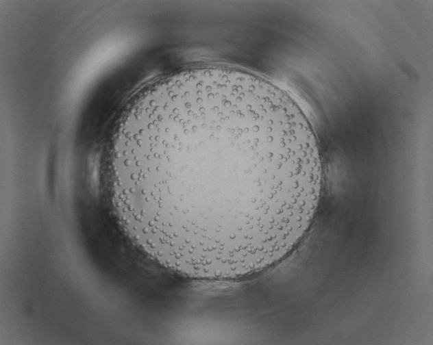 X0000116341150200912291607