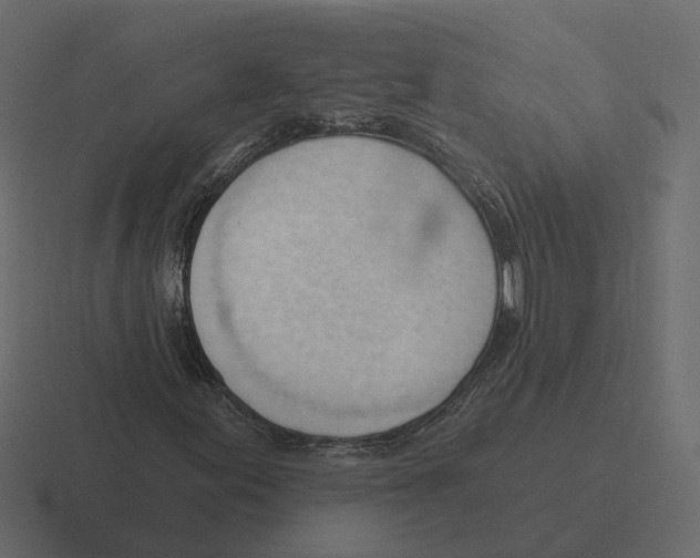 X0000116341155200912291606