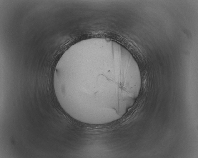 X0000116341156200912291606