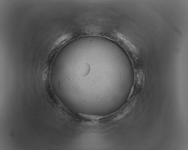 X0000116341157200912291606