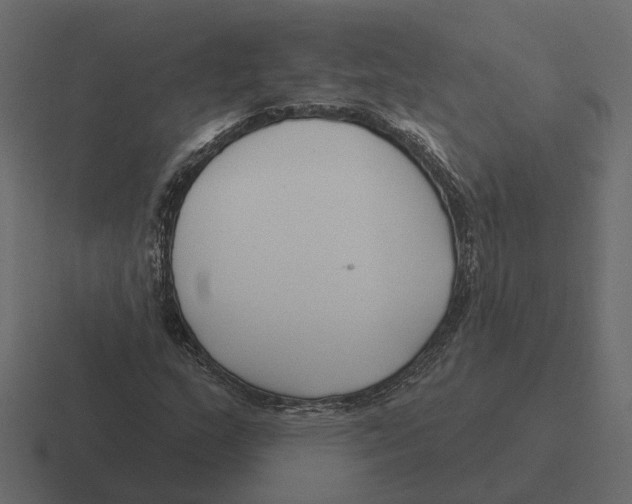 X0000116341159200912291606