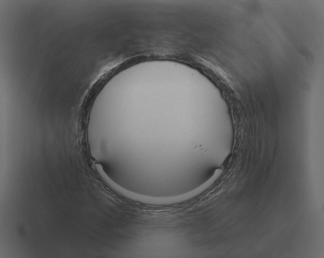 X0000116341160200912291606