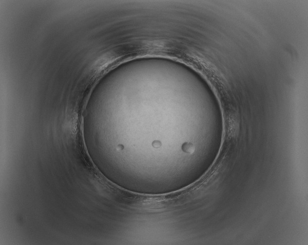 X0000116341161200912291606