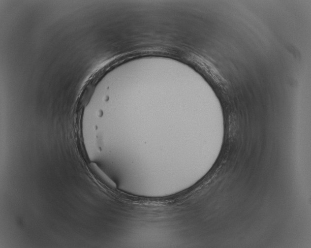 X0000116341164200912291606