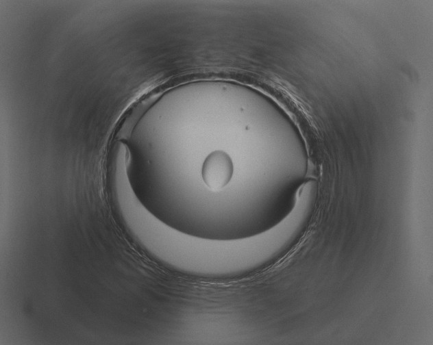 X0000116341165200912291606