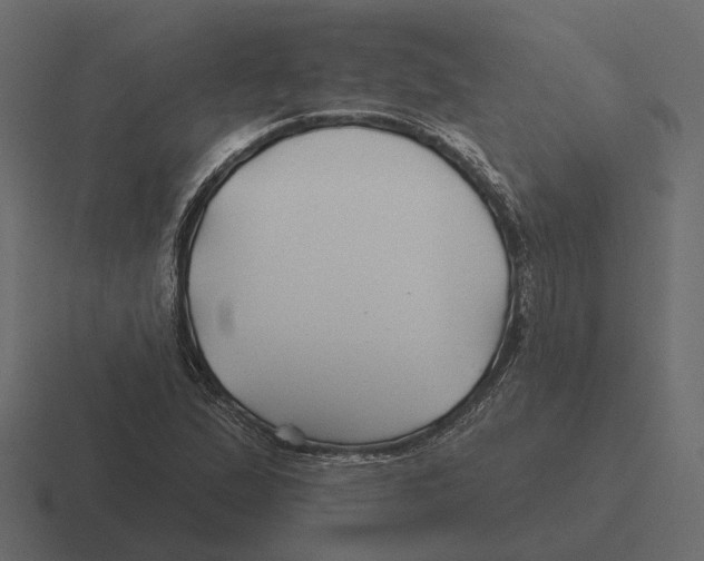 X0000116341167200912291606