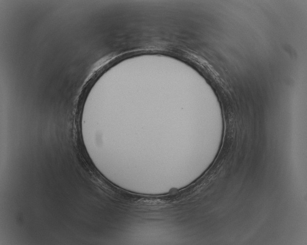 X0000116341168200912291606