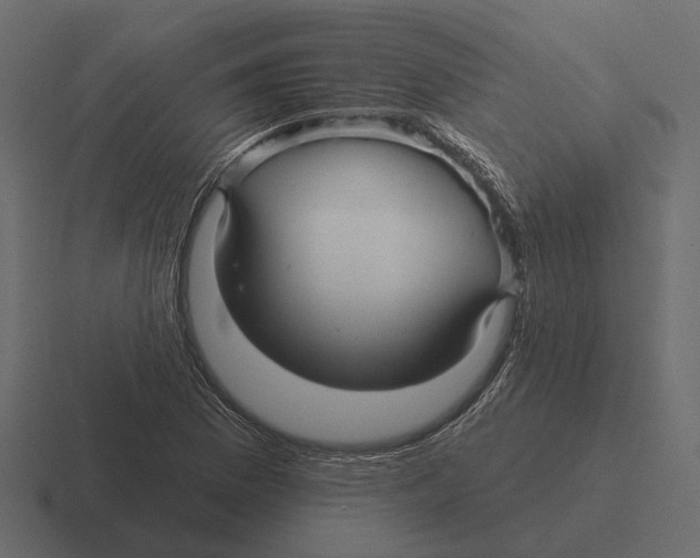 X0000116341169200912291606