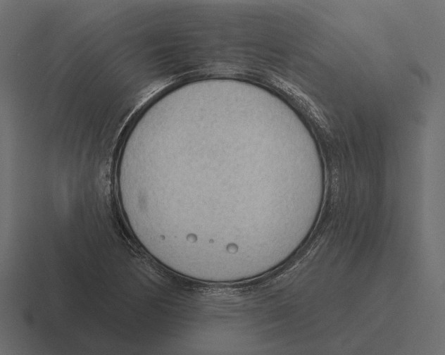 X0000116341170200912291606