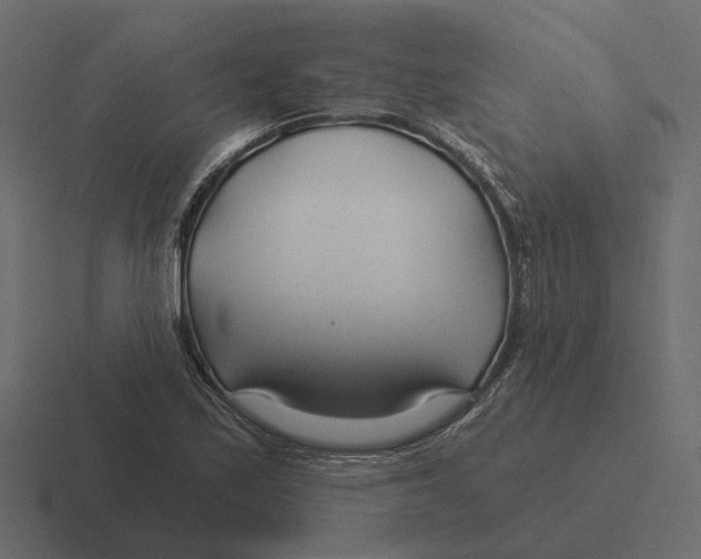 X0000116341171200912291606