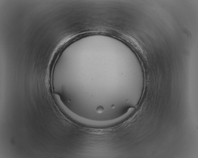 X0000116341172200912291606