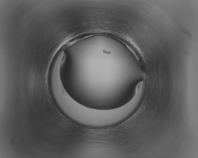 X0000116341173200912291606