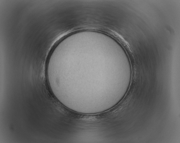 X0000116341174200912291606