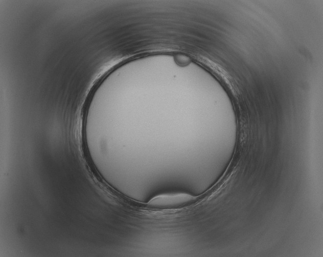 X0000116341179200912291606