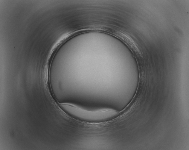 X0000116341180200912291606