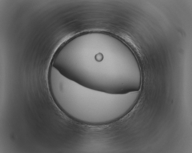 X0000116341181200912291606