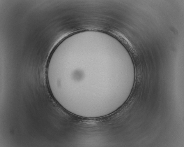 X0000116341182200912291606