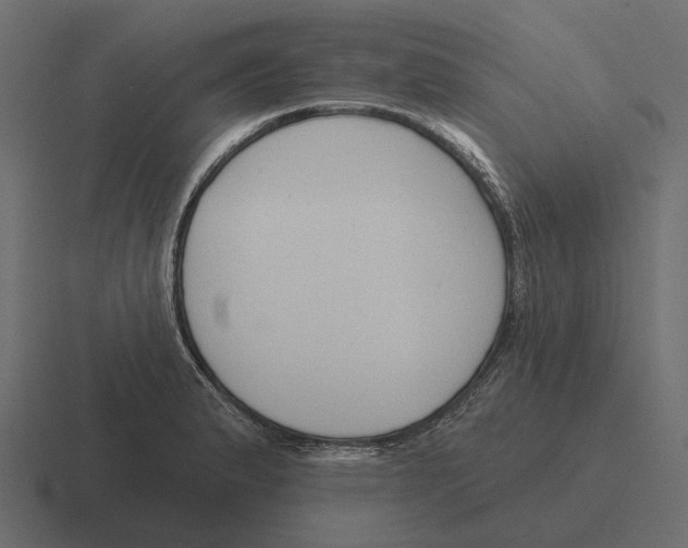 X0000116341183200912291606