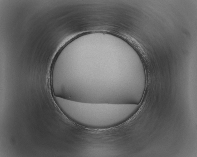 X0000116341184200912291606