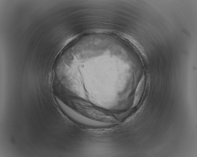 X0000116341185200912291606