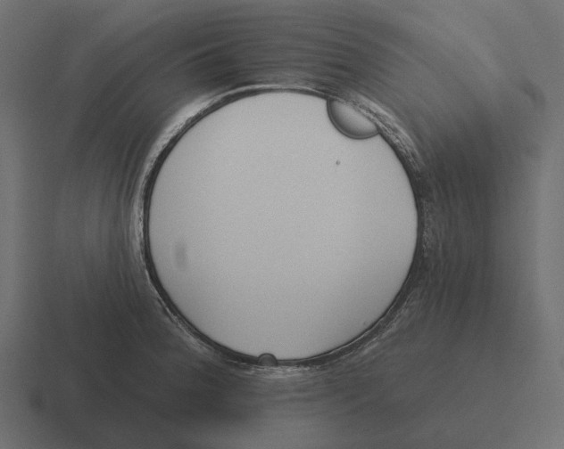 X0000116341188200912291606