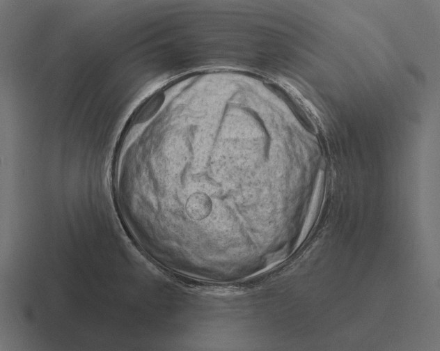 X0000116341189200912291606