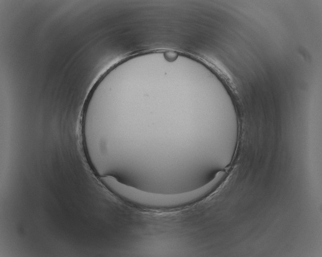 X0000116341190200912291606