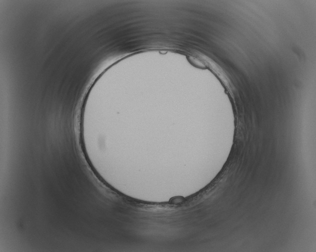 X0000116341195200912291606