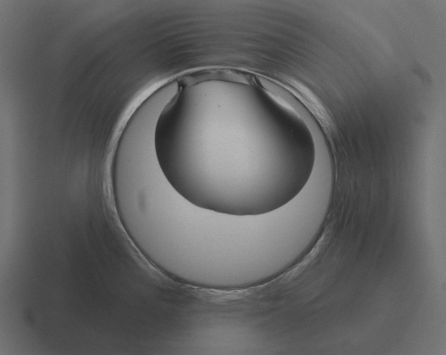 X0000116341196200912291606