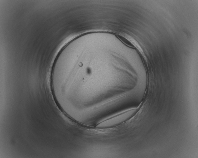 X0000116341197200912291606