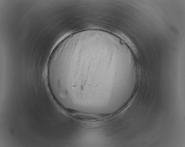 X0000116341198200912291606