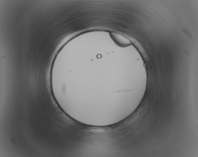 X0000116341199200912291606