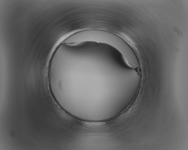 X0000116341200200912291606