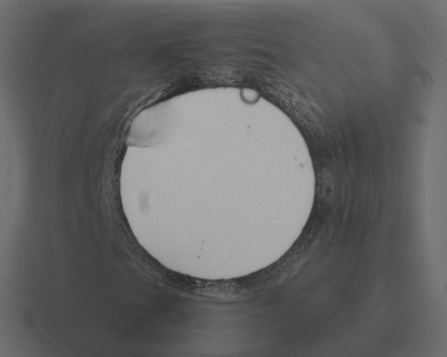 X0000116341201200912291605