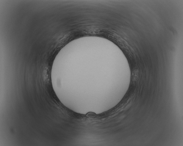 X0000116341202200912291605