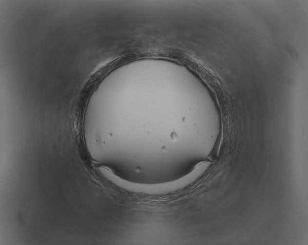 X0000116341206200912291605