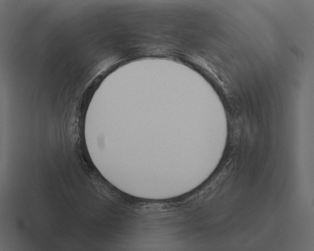 X0000116341211200912291605