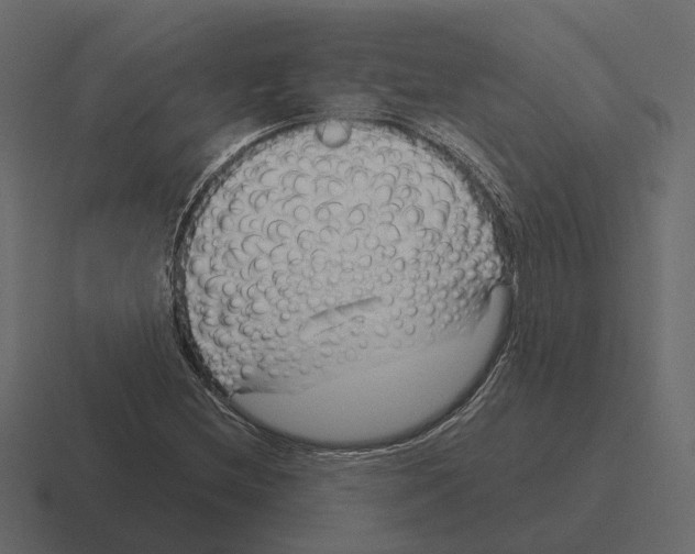 X0000116341212200912291605