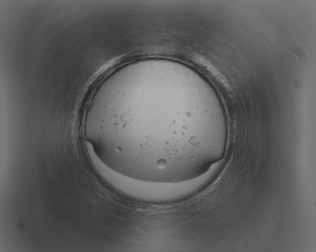 X0000116341213200912291605