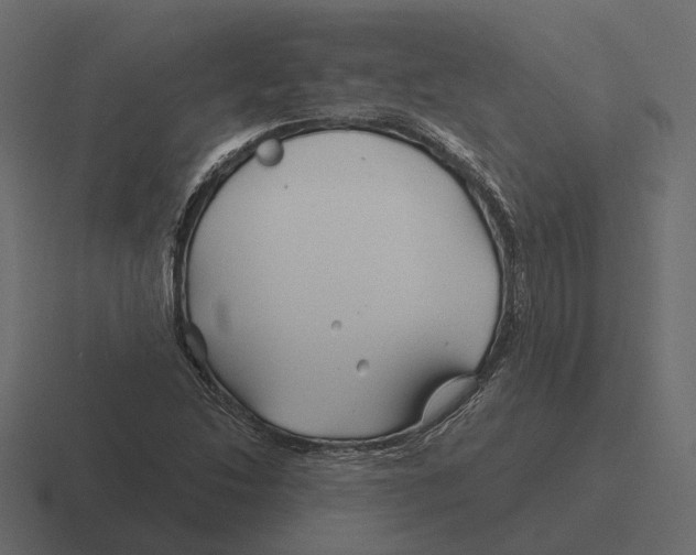 X0000116341214200912291605