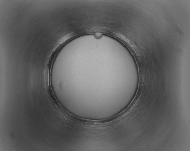 X0000116341219200912291605