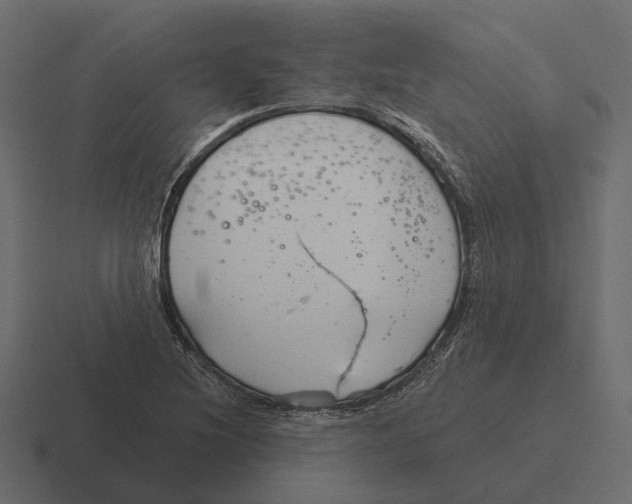 X0000116341220200912291606