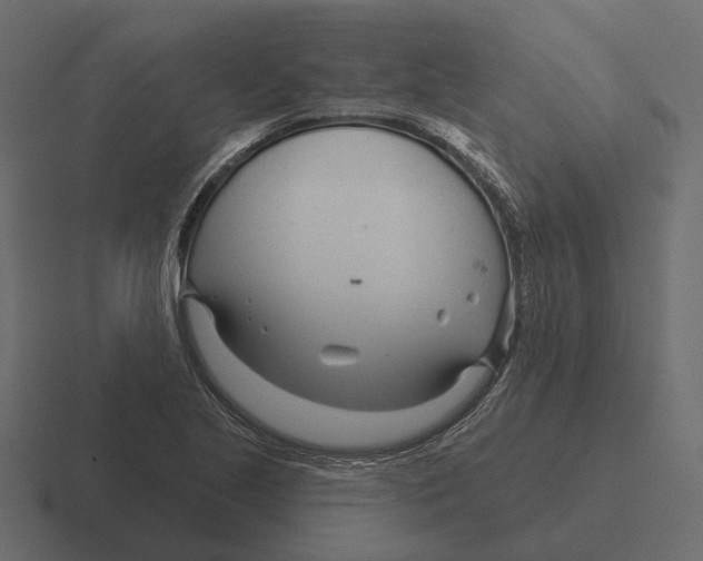 X0000116341221200912291606