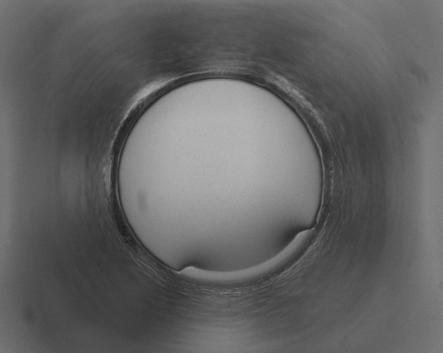 X0000116341222200912291606