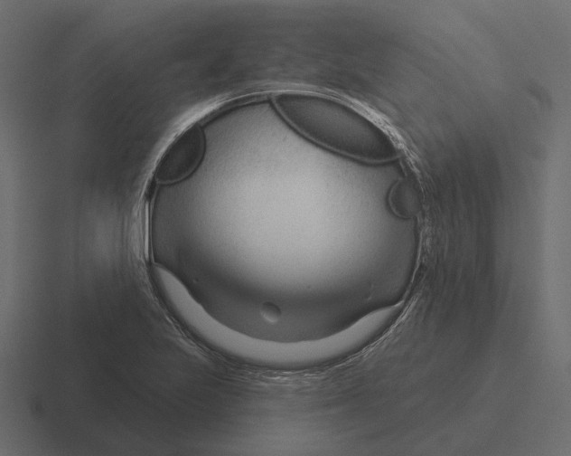 X0000116341223200912291606