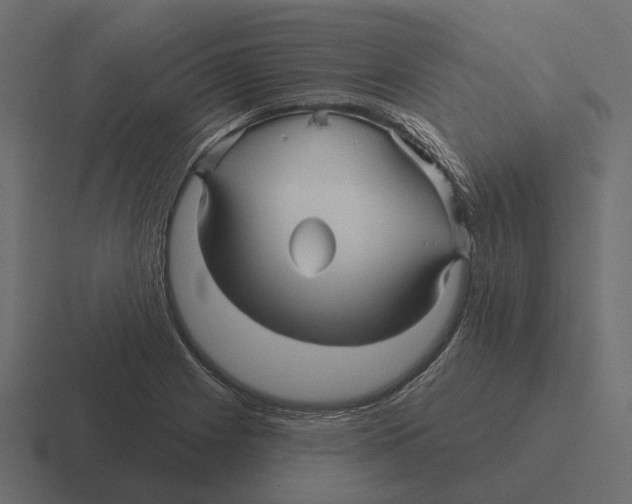 X0000116341225200912291606